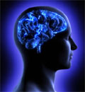 brain in head